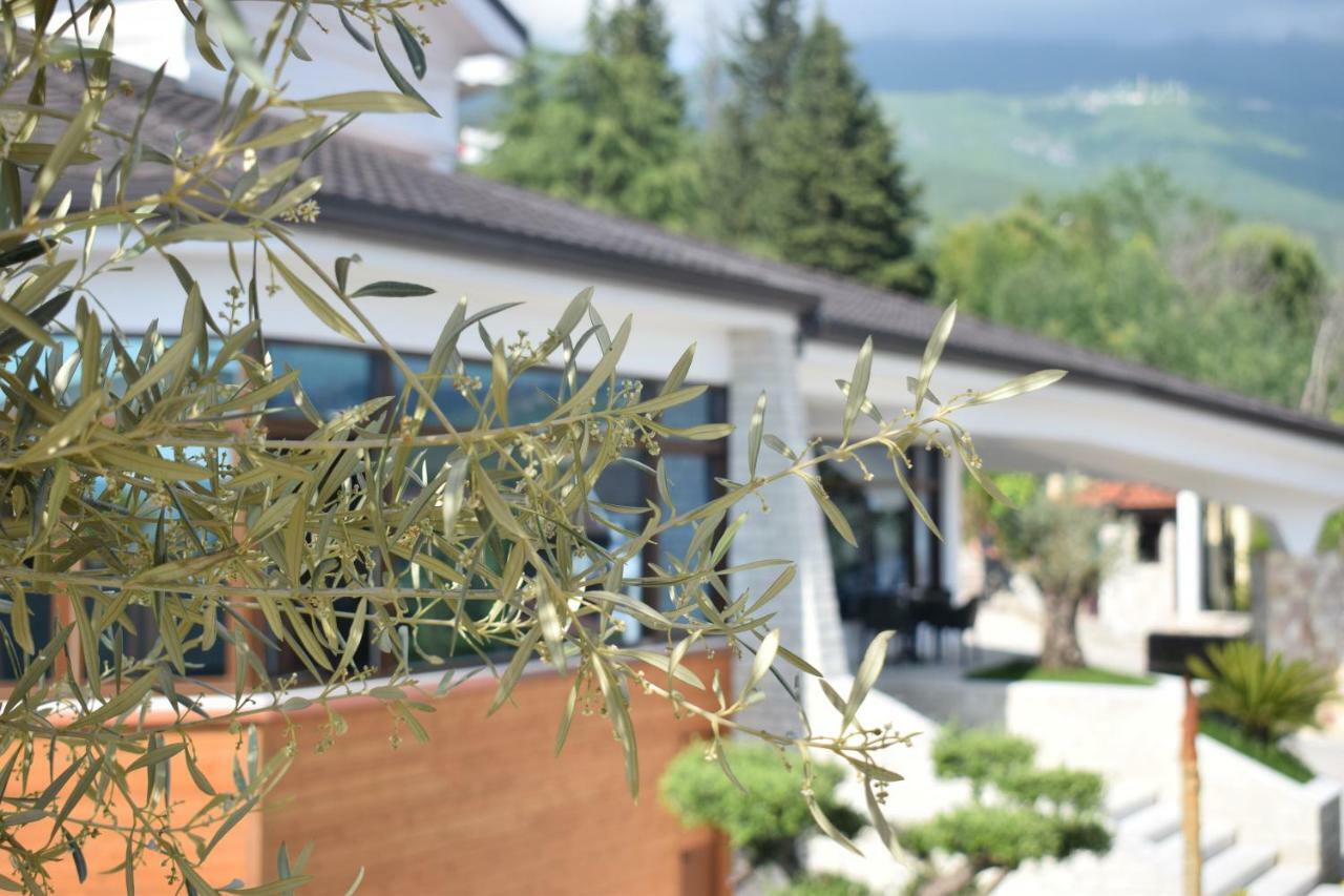 Chateau Linza Resort 티라나 외부 사진