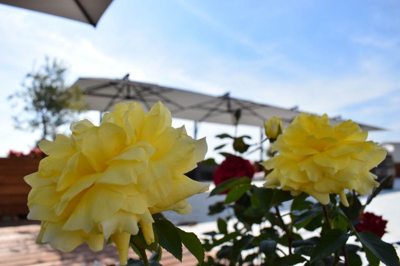 Chateau Linza Resort 티라나 외부 사진